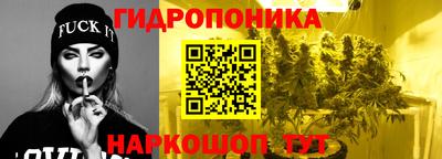 стаф Малгобек