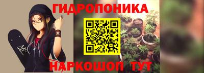 стаф Малгобек