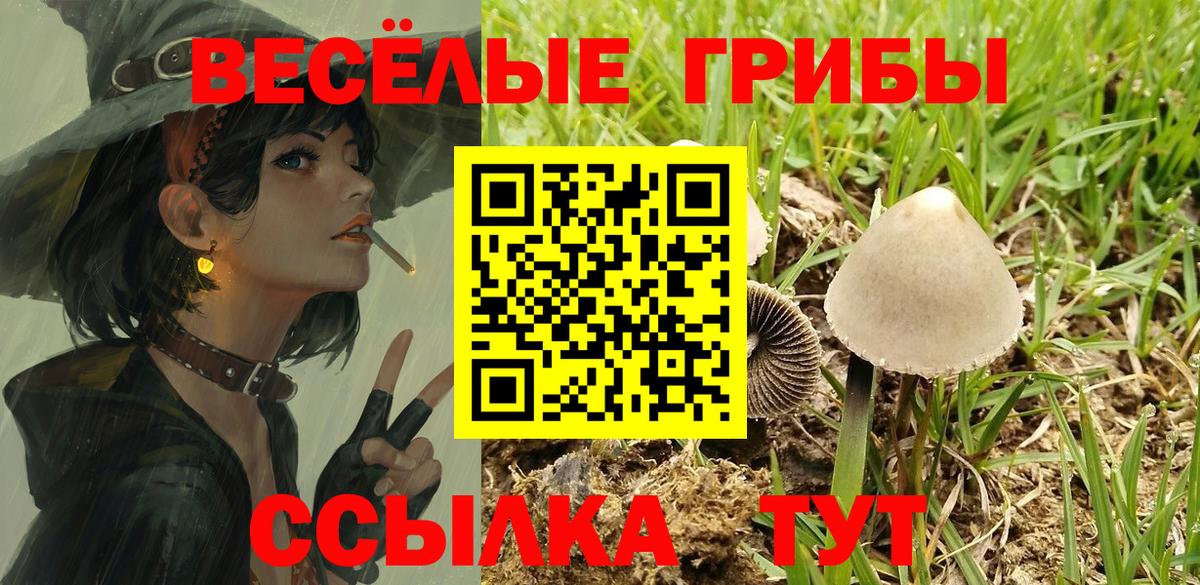 Псилоцибиновые грибы мицелий Долгопрудный